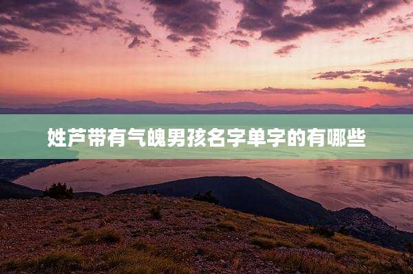 姓芦带有气魄男孩名字单字的有哪些