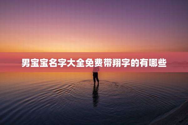男宝宝名字大全免费带翔字的有哪些