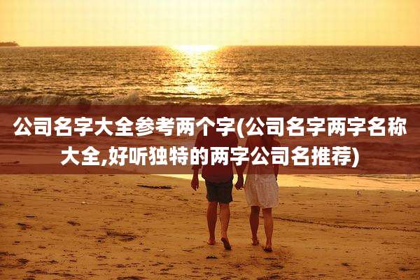 公司名字大全参考两个字(公司名字两字名称大全,好听独特的两字公司名推荐)