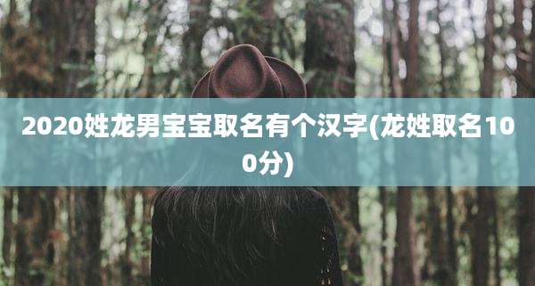 2020姓龙男宝宝取名有个汉字(龙姓取名100分)