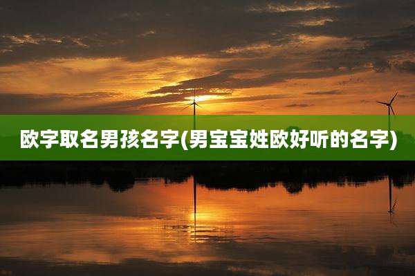 欧字取名男孩名字(男宝宝姓欧好听的名字)