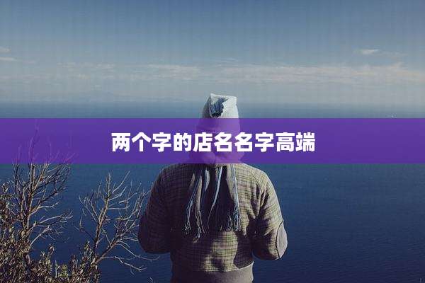 两个字的店名名字高端