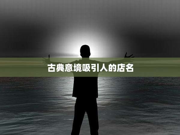 古典意境吸引人的店名