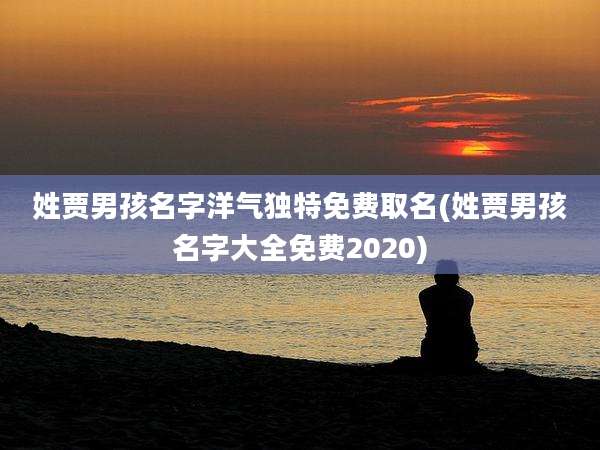 姓贾男孩名字洋气独特免费取名(姓贾男孩名字大全免费2020)