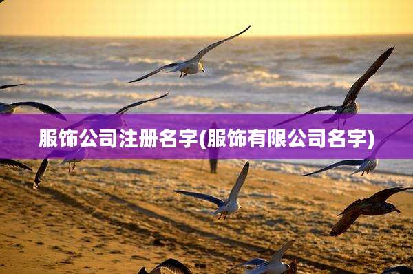 服饰公司注册名字(服饰有限公司名字)