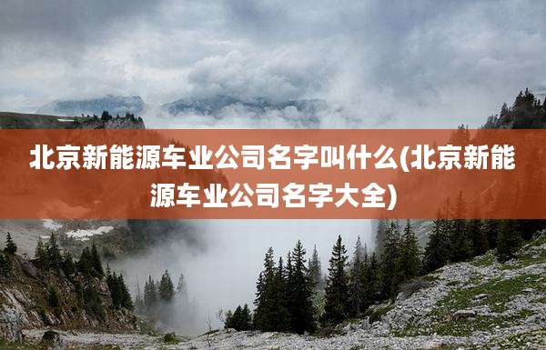 北京新能源车业公司名字叫什么(北京新能源车业公司名字大全)