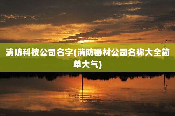 消防科技公司名字(消防器材公司名称大全简单大气)