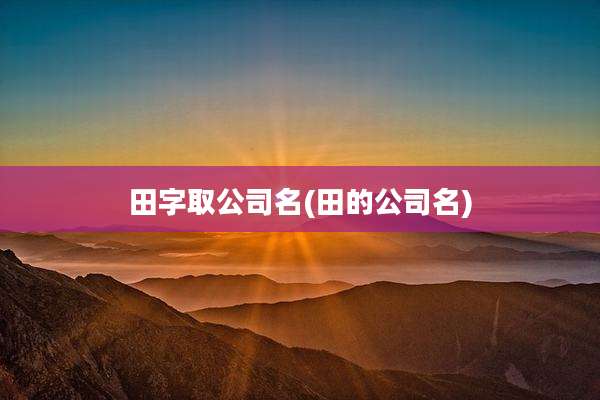 田字取公司名(田的公司名)