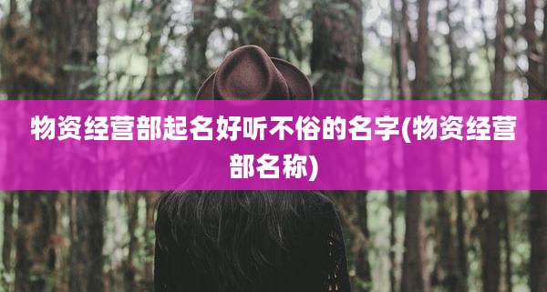 物资经营部起名好听不俗的名字(物资经营部名称)