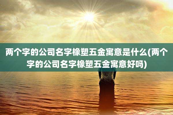 两个字的公司名字橡塑五金寓意是什么(两个字的公司名字橡塑五金寓意好吗)