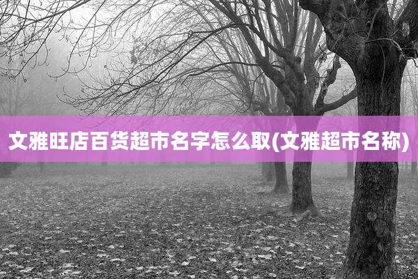 文雅旺店百货超市名字怎么取(文雅超市名称)