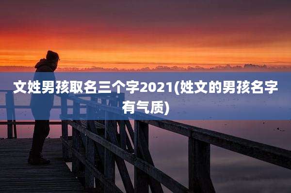 文姓男孩取名三个字2021(姓文的男孩名字有气质)