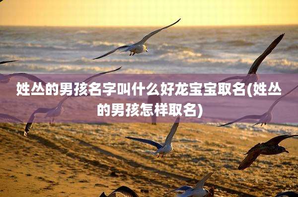 姓丛的男孩名字叫什么好龙宝宝取名(姓丛的男孩怎样取名)