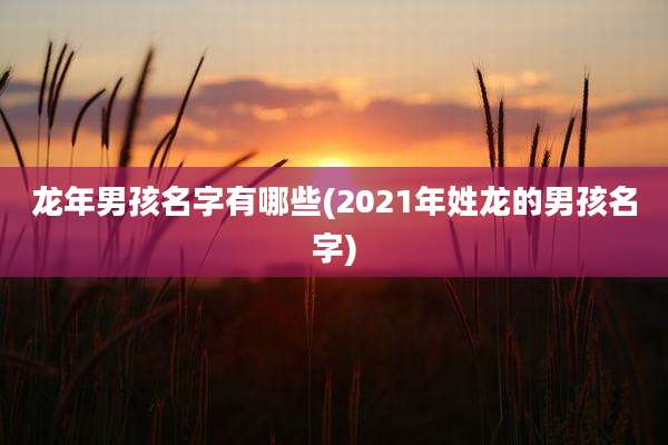 龙年男孩名字有哪些(2021年姓龙的男孩名字)