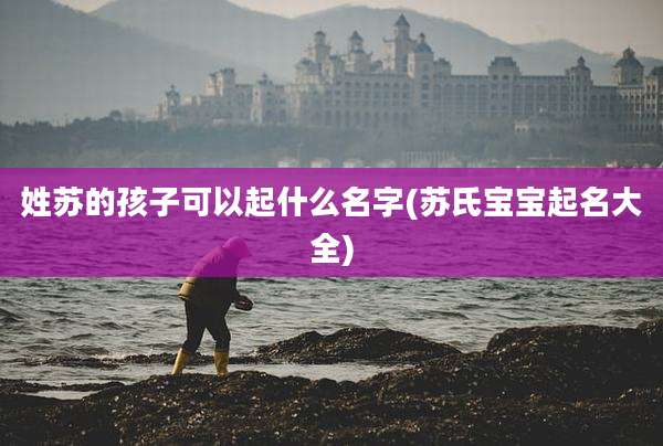 姓苏的孩子可以起什么名字(苏氏宝宝起名大全)