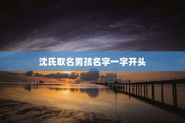 沈氏取名男孩名字一字开头