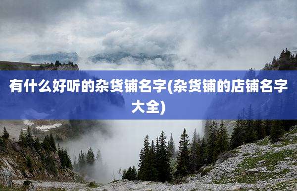有什么好听的杂货铺名字(杂货铺的店铺名字大全)