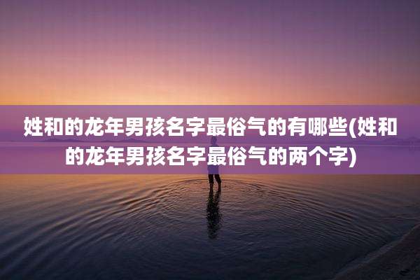 姓和的龙年男孩名字最俗气的有哪些(姓和的龙年男孩名字最俗气的两个字)