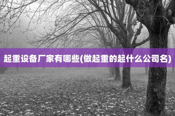 起重设备厂家有哪些(做起重的起什么公司名)