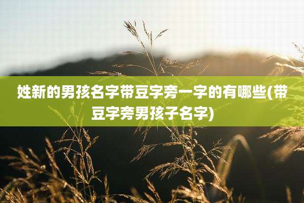 姓新的男孩名字带豆字旁一字的有哪些(带豆字旁男孩子名字)