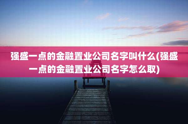 强盛一点的金融置业公司名字叫什么(强盛一点的金融置业公司名字怎么取)