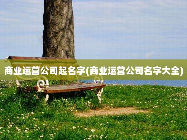 商业运营公司起名字(商业运营公司名字大全)