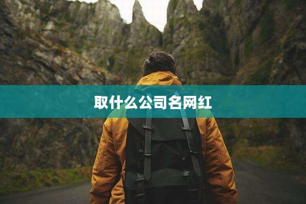 取什么公司名网红