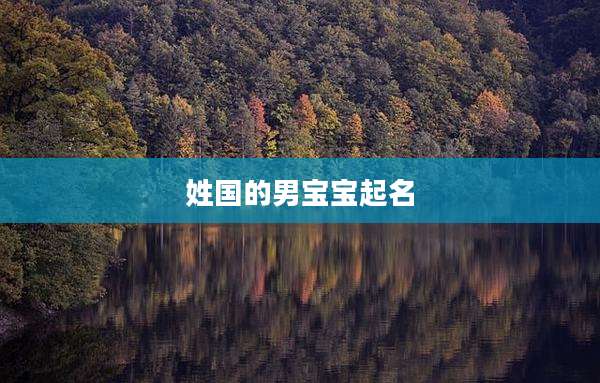 姓国的男宝宝起名