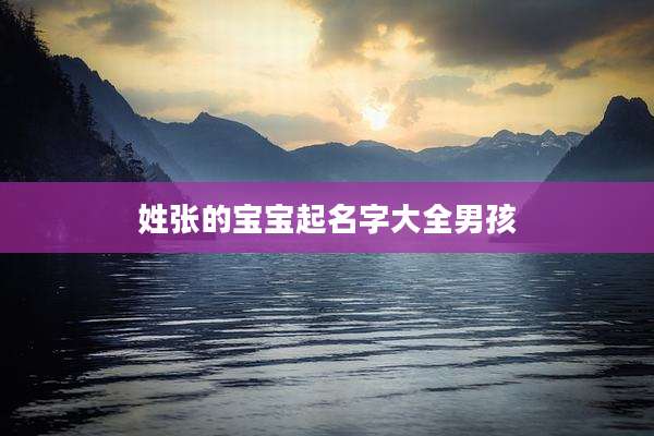 姓张的宝宝起名字大全男孩