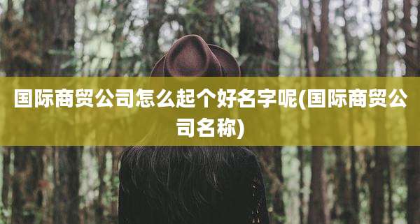 国际商贸公司怎么起个好名字呢(国际商贸公司名称)