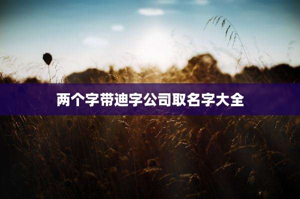 两个字带迪字公司取名字大全