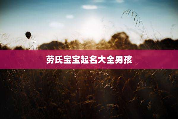 劳氏宝宝起名大全男孩