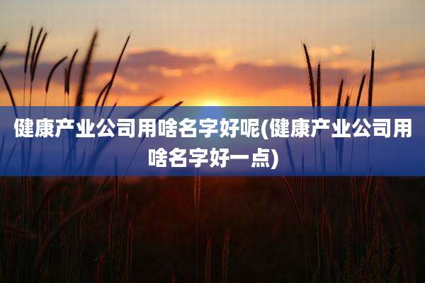 健康产业公司用啥名字好呢(健康产业公司用啥名字好一点)