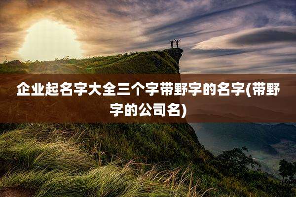 企业起名字大全三个字带野字的名字(带野字的公司名)