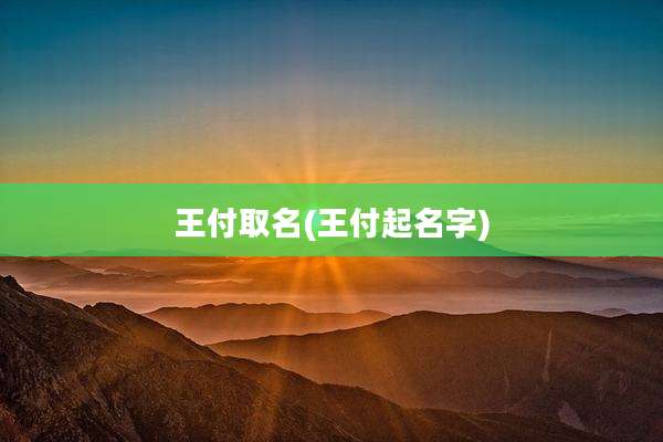 王付取名(王付起名字)