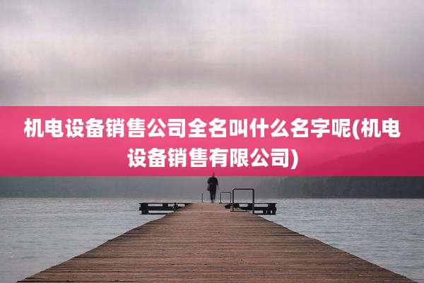 机电设备销售公司全名叫什么名字呢(机电设备销售有限公司)