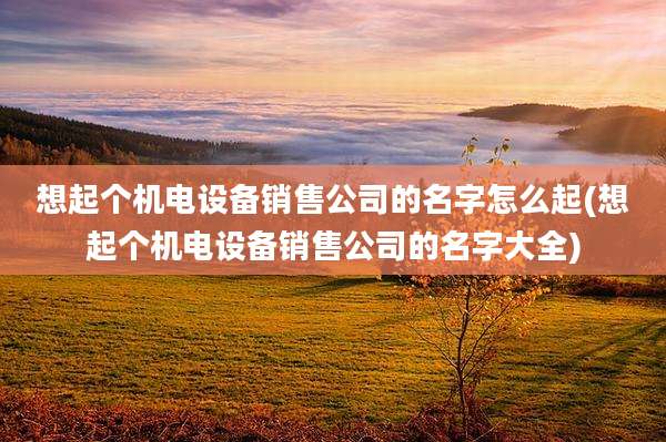 想起个机电设备销售公司的名字怎么起(想起个机电设备销售公司的名字大全)