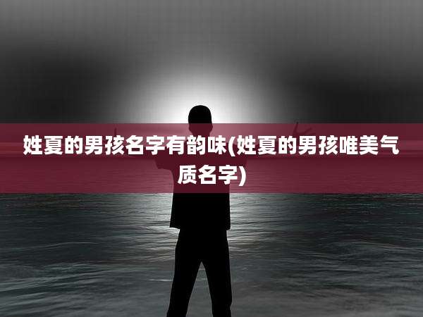 姓夏的男孩名字有韵味(姓夏的男孩唯美气质名字)