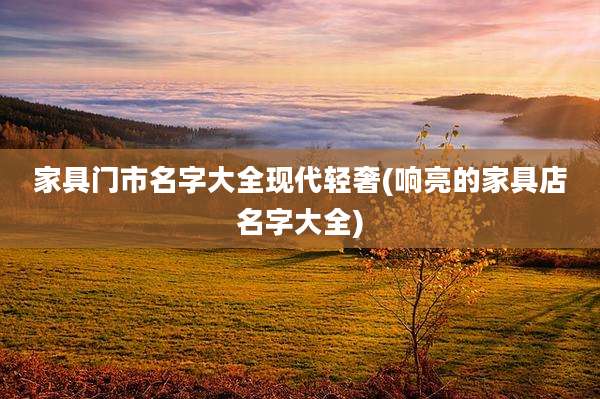 家具门市名字大全现代轻奢(响亮的家具店名字大全)