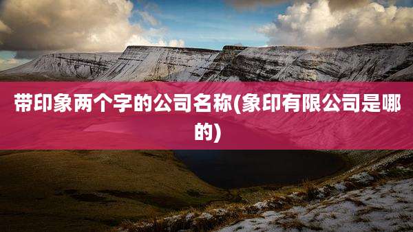 带印象两个字的公司名称(象印有限公司是哪的)