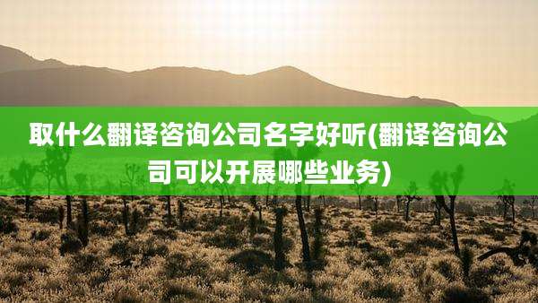 取什么翻译咨询公司名字好听(翻译咨询公司可以开展哪些业务)