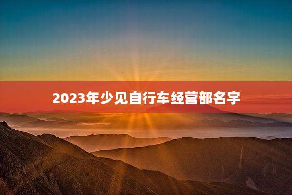 2023年少见自行车经营部名字