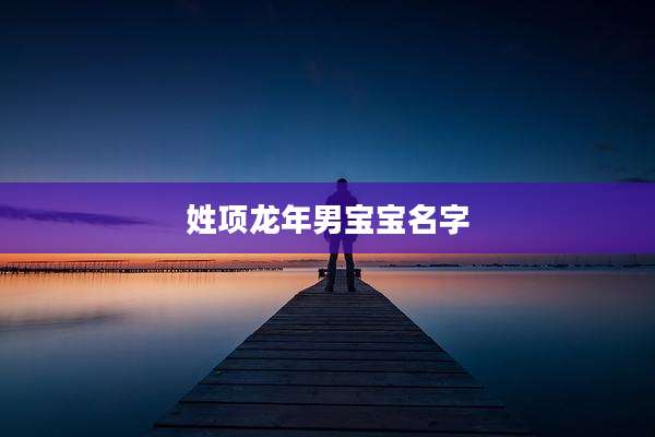 姓项龙年男宝宝名字