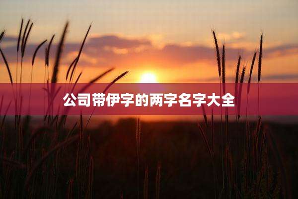 公司带伊字的两字名字大全