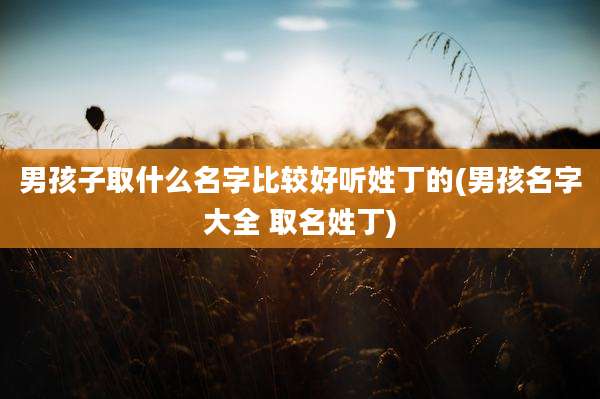 男孩子取什么名字比较好听姓丁的(男孩名字大全 取名姓丁)