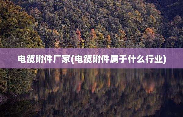 电缆附件厂家(电缆附件属于什么行业)
