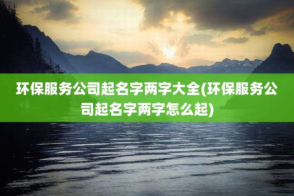 环保服务公司起名字两字大全(环保服务公司起名字两字怎么起)