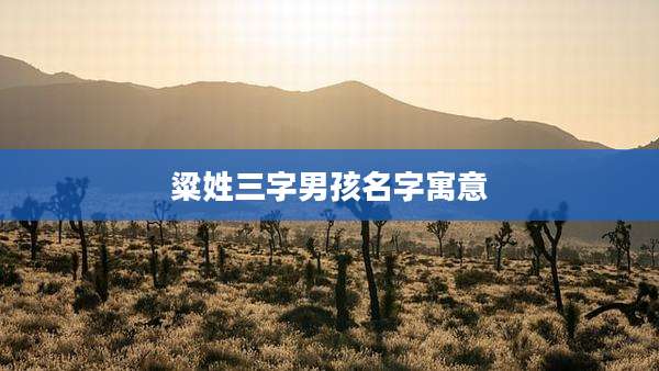 粱姓三字男孩名字寓意
