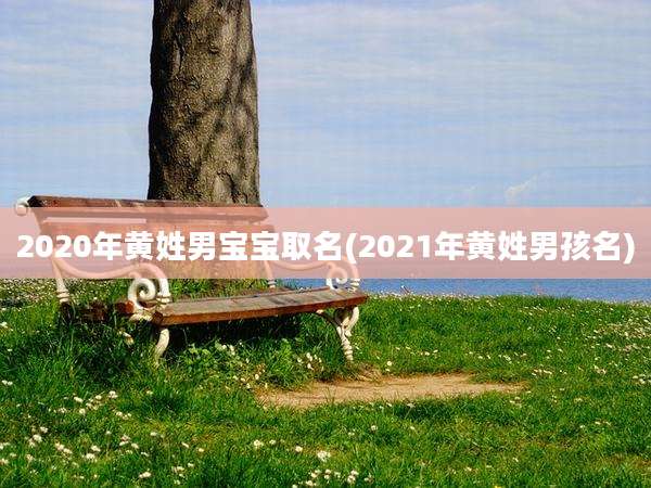 2020年黄姓男宝宝取名(2021年黄姓男孩名)