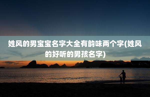 姓风的男宝宝名字大全有韵味两个字(姓风的好听的男孩名字)